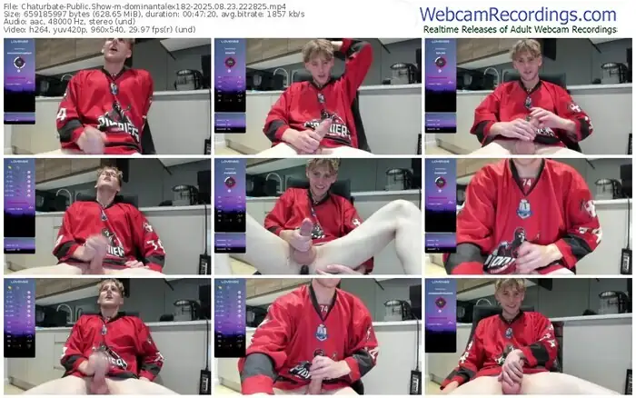 2025/08/23/chaturbate-dominantalex182-22-28-25