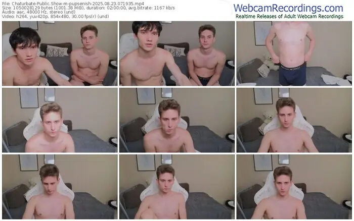 2025/08/23/chaturbate-pupsenish-07-19-35