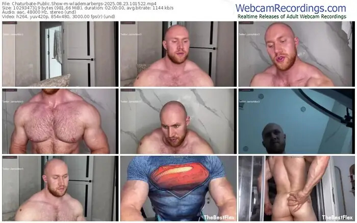 2025/08/23/chaturbate-wlademarbergs-10-15-22