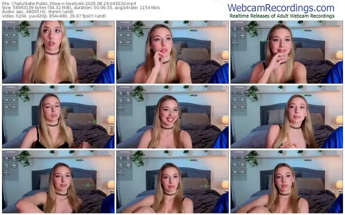 2025/08/24/chaturbate-lovelusik-04-32-20