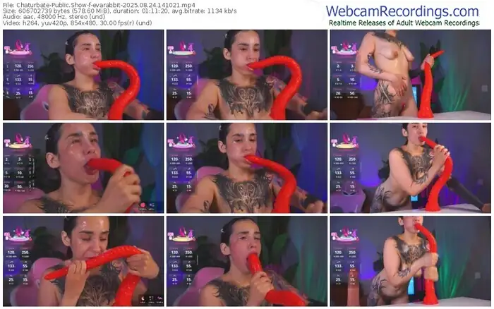 2025/08/24/chaturbate-evarabbit-14-10-21