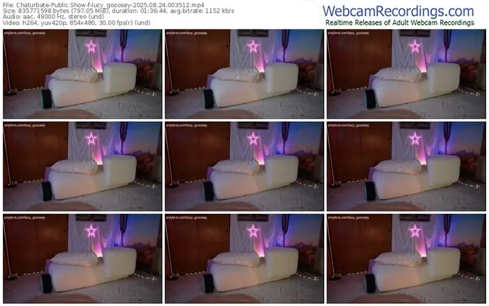 2025/08/24/chaturbate-lucy_gooosey-00-35-12
