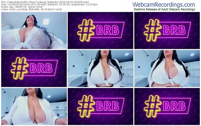 2025/08/24/chaturbate-natural_bigboobs-22-00-05