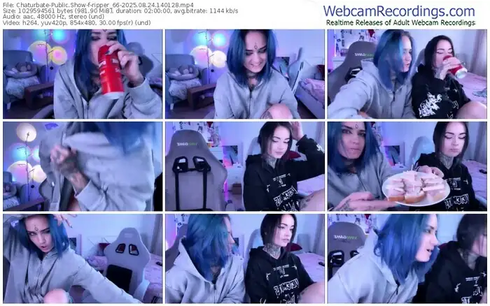 2025/08/24/chaturbate-ripper_66-14-01-28