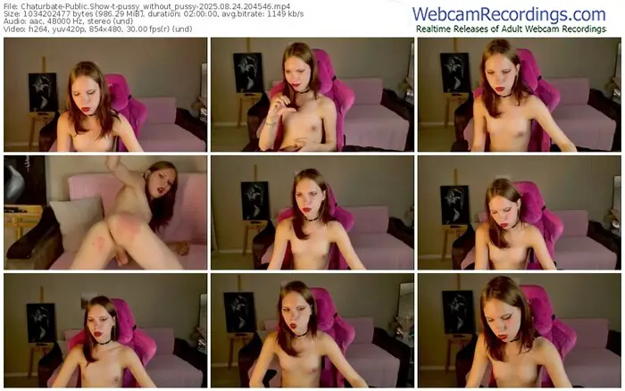 2025/08/24/chaturbate-pussy_without_pussy-20-45-46