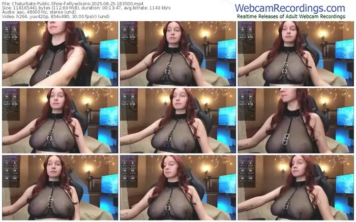 2025/08/25/chaturbate-ellywilsons-18-35-00
