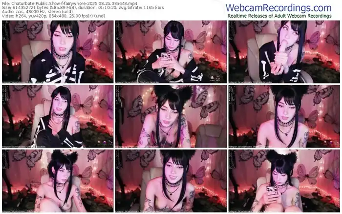 2025/08/25/chaturbate-fairywhore-03-56-48
