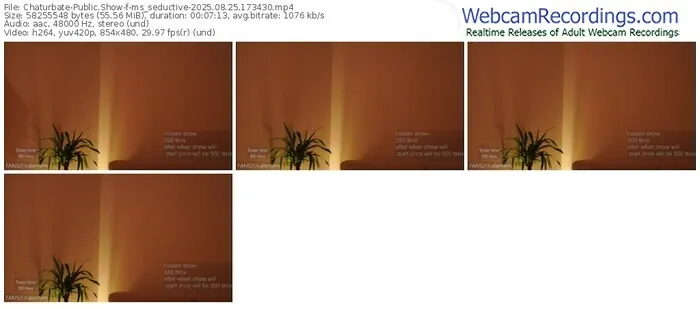 2025/08/25/chaturbate-ms_seductive-17-34-30