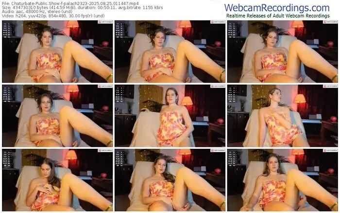 2025/08/25/chaturbate-palach2323-01-14-47