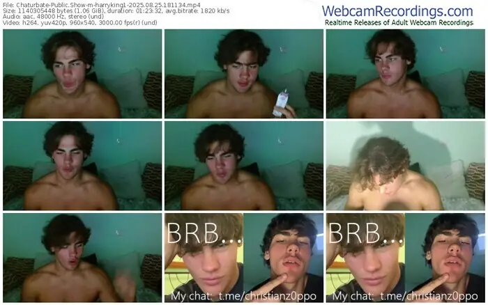 2025/08/25/chaturbate-harryking1-18-11-34