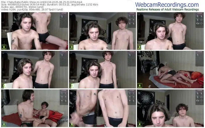 2025/08/25/chaturbate-iinklk134-01-22-59