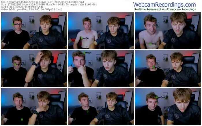 2025/08/25/chaturbate-travis_wolf_-16-33-03