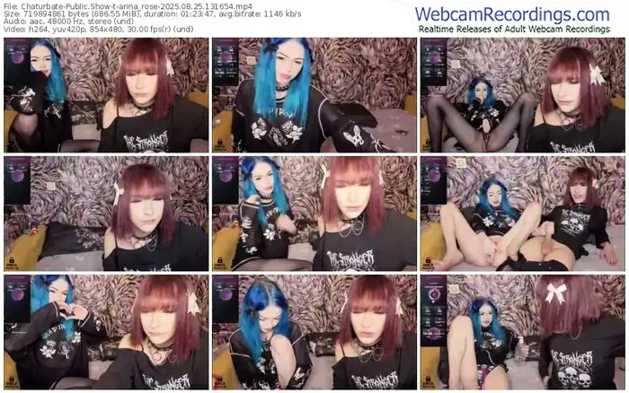 2025/08/25/chaturbate-arina_rose-13-16-54