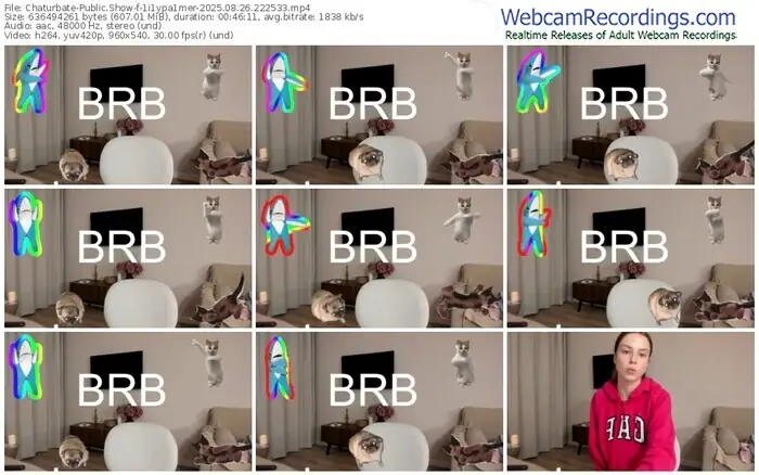 2025/08/26/chaturbate-1i1ypa1mer-22-25-33