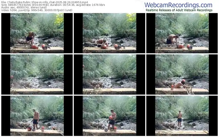 2025/08/26/chaturbate-info_chat-00-49-53