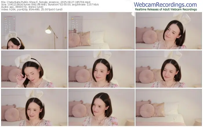2025/08/27/chaturbate-_female_essence_-18-57-04
