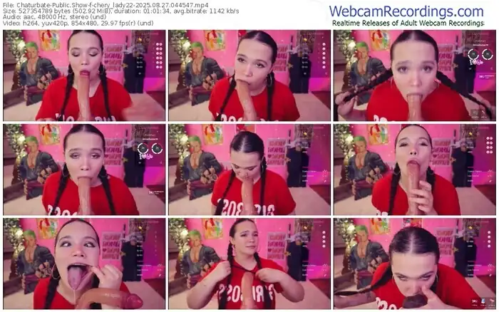 2025/08/27/chaturbate-chery_lady22-04-45-47