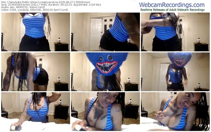 2025/08/27/chaturbate-creamyexotica-13-55-08