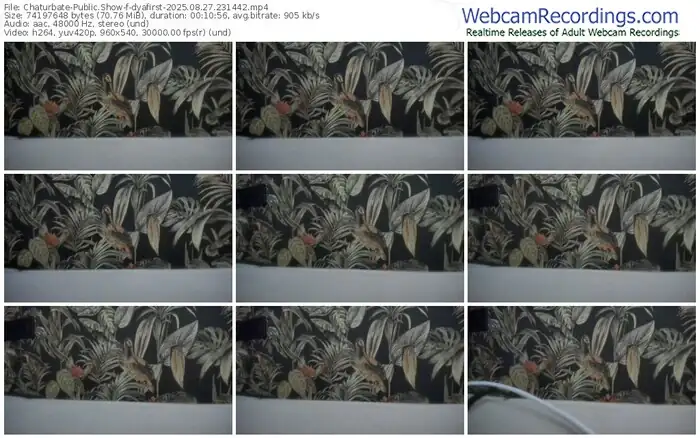 2025/08/27/chaturbate-dyafirst-23-14-42
