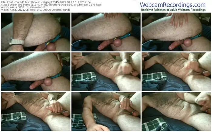 2025/08/27/chaturbate-calgary12345-01-22-26