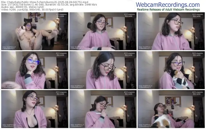 2025/08/28/chaturbate-cherrybunny21-04-17-51
