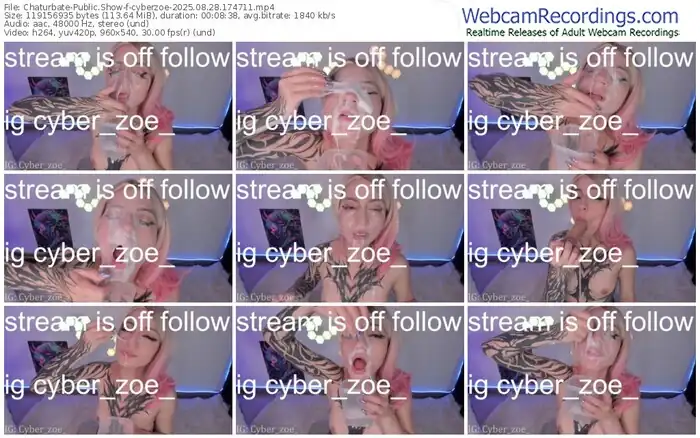 2025/08/28/chaturbate-cyberzoe-17-47-11