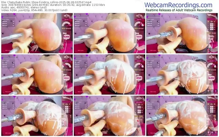 2025/08/28/chaturbate-indira_collins-02-25-47