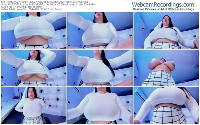 2025/08/28/chaturbate-natural_bigboobs-01-29-54