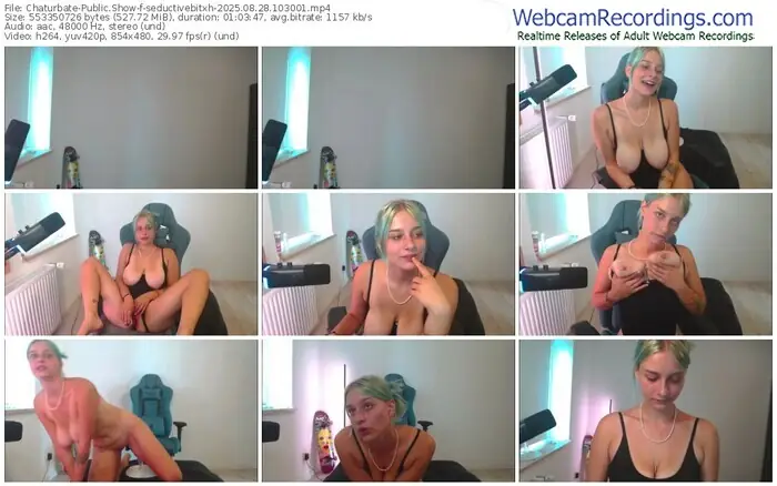 2025/08/28/chaturbate-seductivebitxh-10-30-01