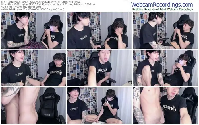 2025/08/28/chaturbate-brand741-09-29-35