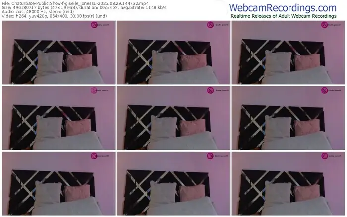 2025/08/29/chaturbate-giselle_joness1-14-47-32