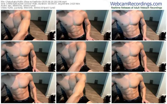 2025/08/29/chaturbate-fastfixbo-20-11-08