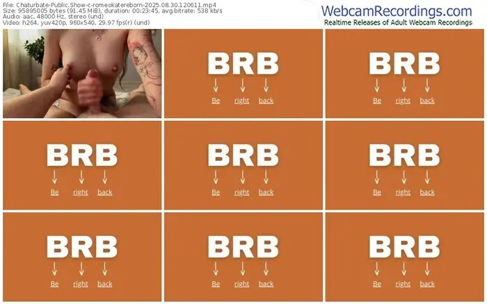 2025/08/30/chaturbate-romeokatereborn-12-06-11