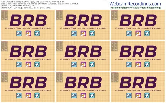 2025/08/30/chaturbate-jelly_w5-04-00-01