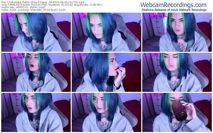 2025/08/30/chaturbate-ripper_66-15-17-26