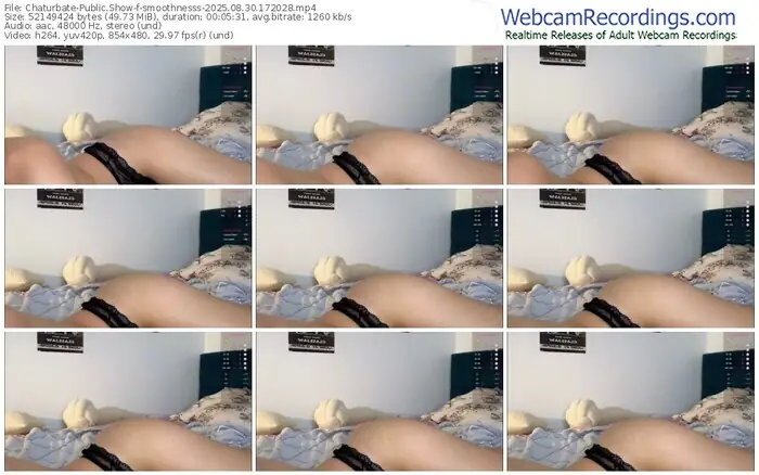 2025/08/30/chaturbate-smoothnesss-17-20-28