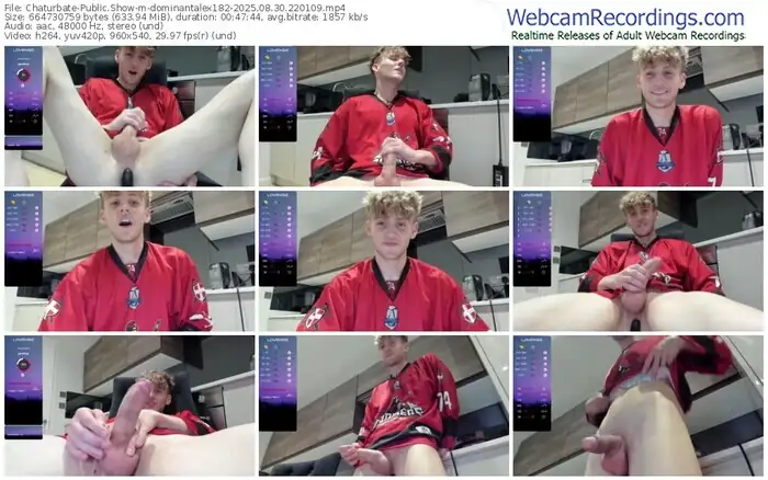 2025/08/30/chaturbate-dominantalex182-22-01-09