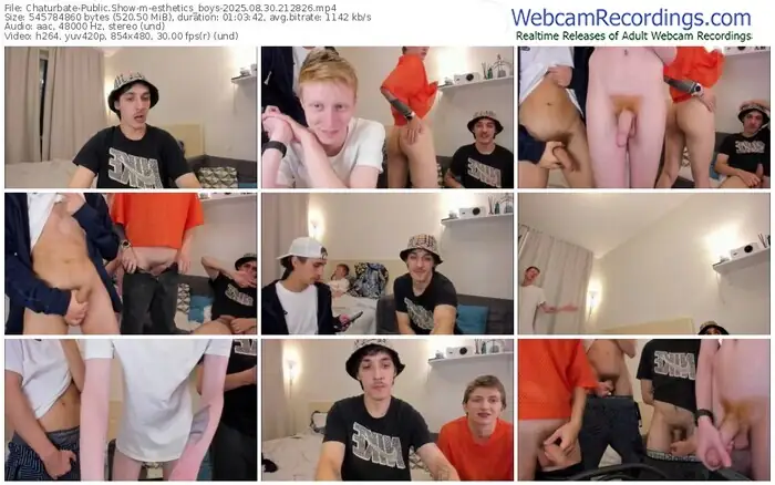 2025/08/30/chaturbate-esthetics_boys-21-28-26