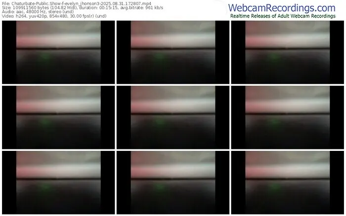 2025/08/31/chaturbate-evelyn_jhonson3-17-28-07