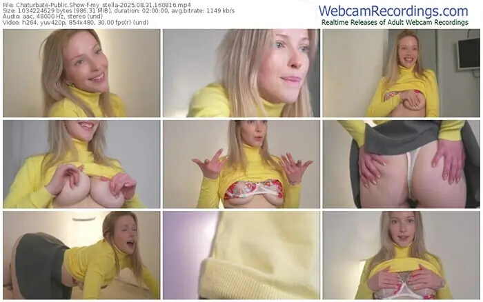 2025/08/31/chaturbate-my_stella-16-08-16