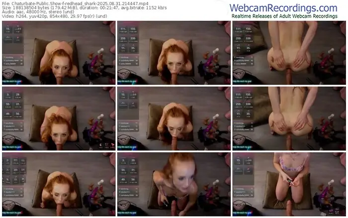 2025/08/31/chaturbate-redhead_shark-21-44-47