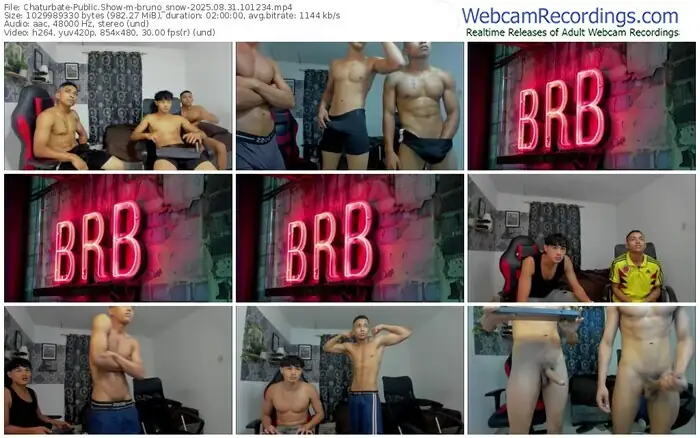 2025/08/31/chaturbate-bruno_snow-10-12-34