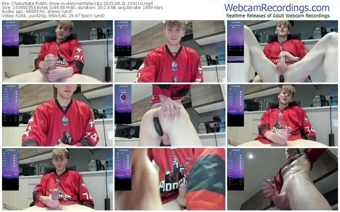 2025/08/31/chaturbate-dominantalex182-15-41-10