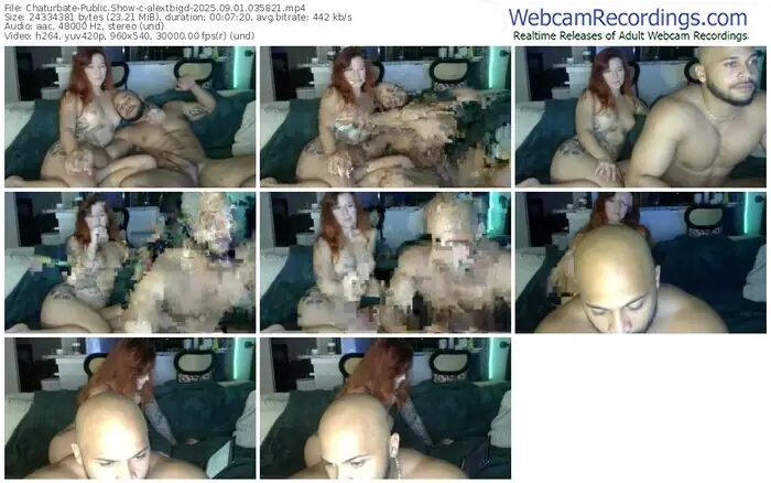 2025/09/01/chaturbate-alextbigd-03-58-21