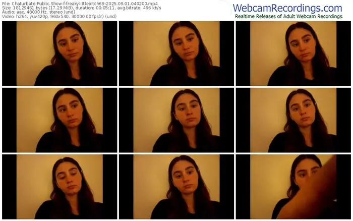 2025/09/01/chaturbate-freakylittlebitch69-04-02-00