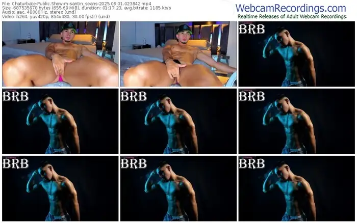 2025/09/01/chaturbate-santin_seans-02-38-42
