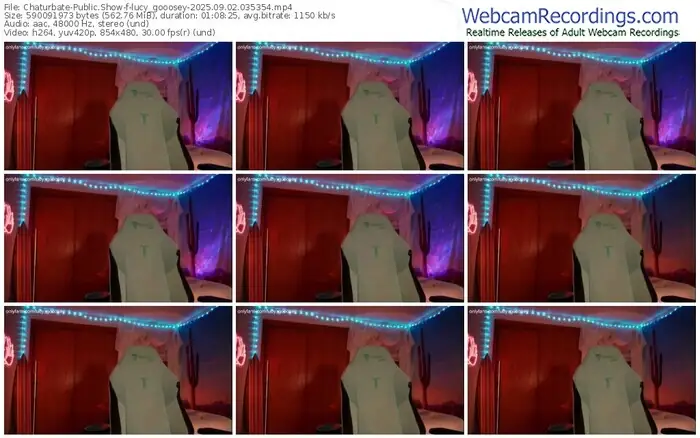 2025/09/02/chaturbate-lucy_gooosey-03-53-54