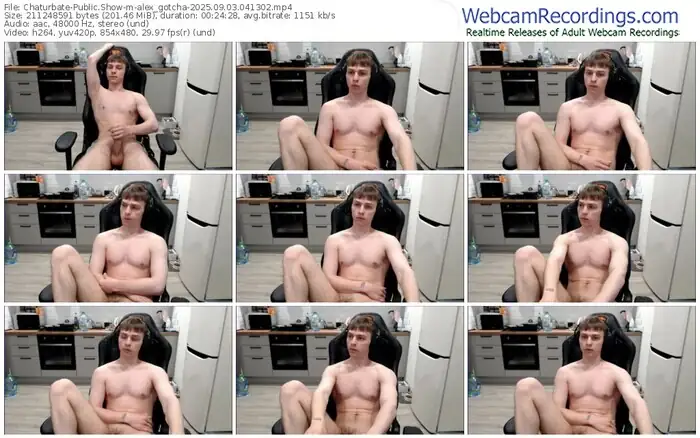 2025/09/03/chaturbate-alex_gotcha-04-13-02