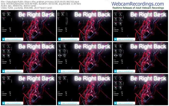 2025/09/05/chaturbate-the_arabian_princess-08-27-43