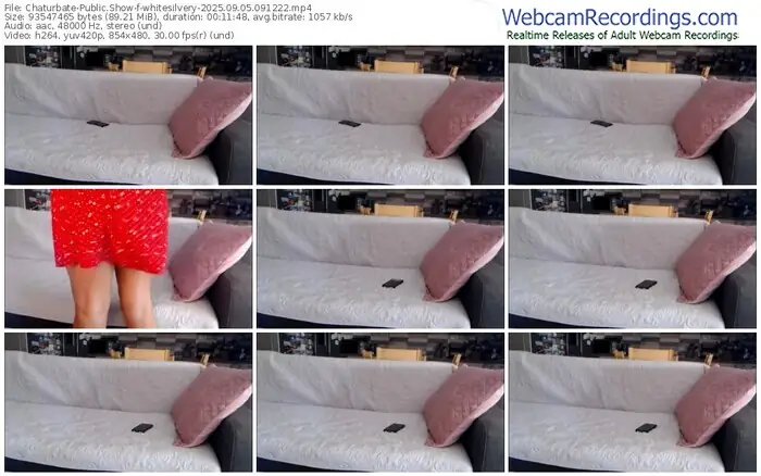 2025/09/05/chaturbate-whitesilvery-09-12-22